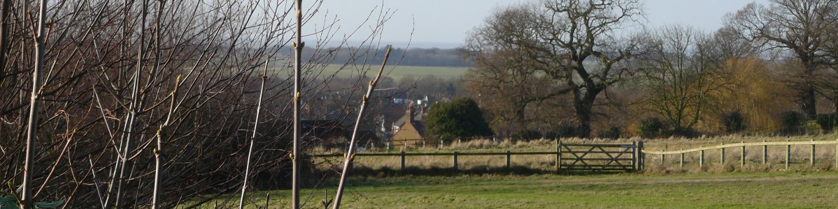 header image of local view